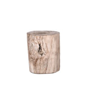 Fossil Stool